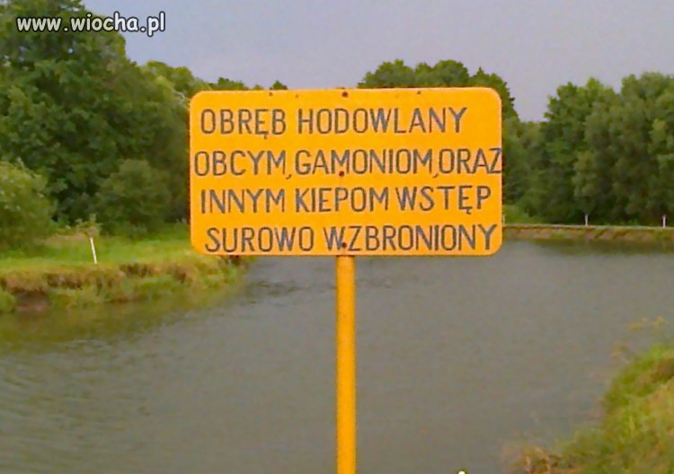 Na wsi zrozumieją!