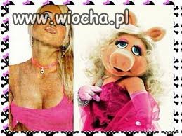 Doda na świnkę Piggy?