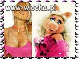 Doda na świnkę Piggy?