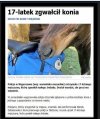 Znalezione na zwiecha