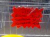 Ortografia...