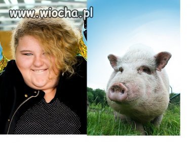 Znajdź trzy różnice