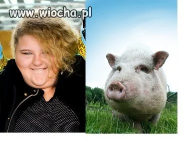 Znajdź trzy różnice