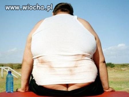Wystawka
