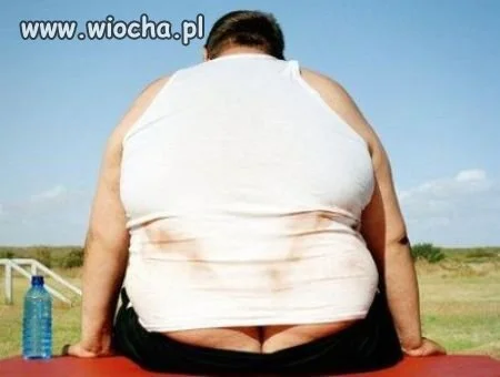 Wystawka
