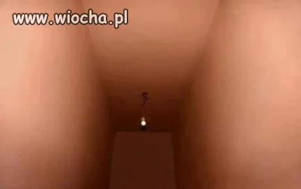 Co widzicie na zdjęciu?