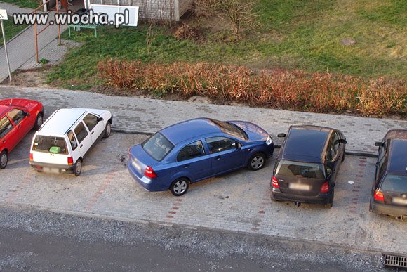 Zawsze znajdzie się jakiś...pseudokierowca