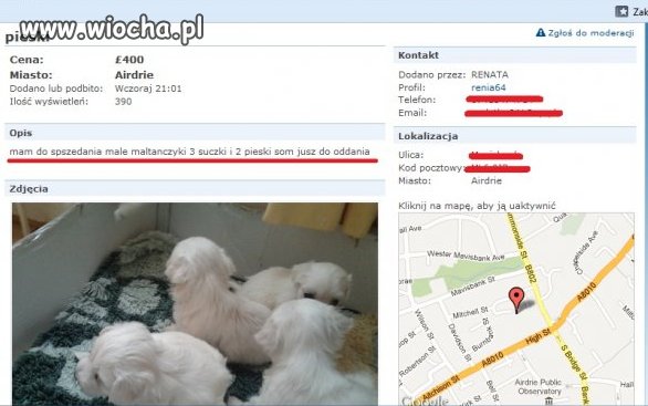 "Spszedania"