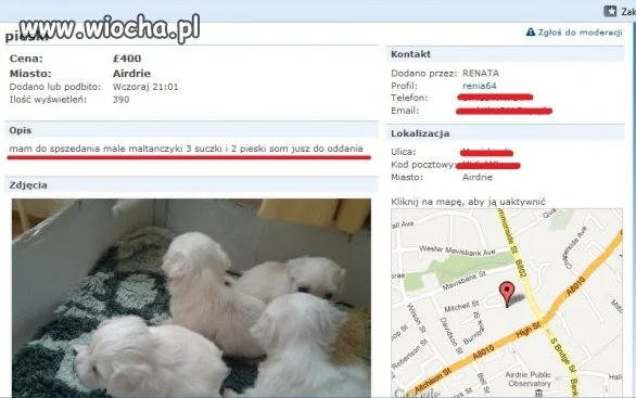 "Spszedania"