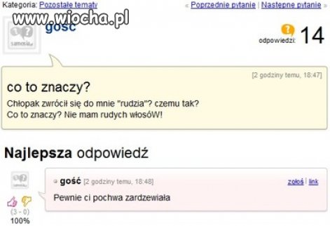 Odpowiedź tego gościa wymiata 