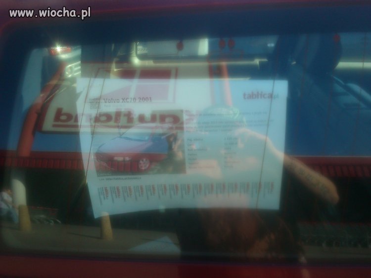 Odrywane ogłoszenie za szybą
