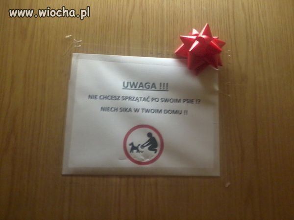 W windzie.