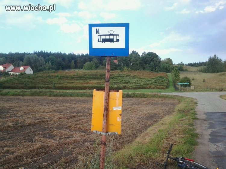 Tylko w Polsce 