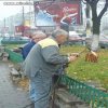 Grillowanie na szybko