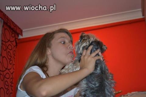 Takie tam z pieskiem