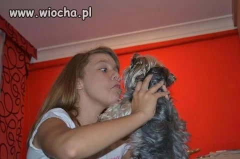 Takie tam z pieskiem