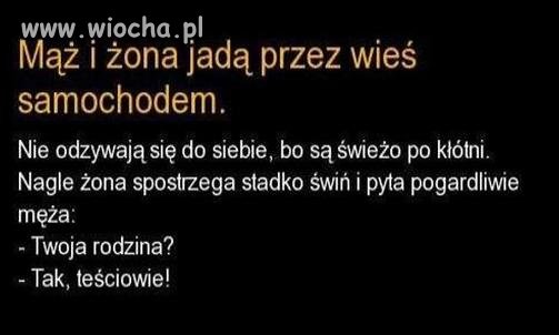 Cięta riposta...