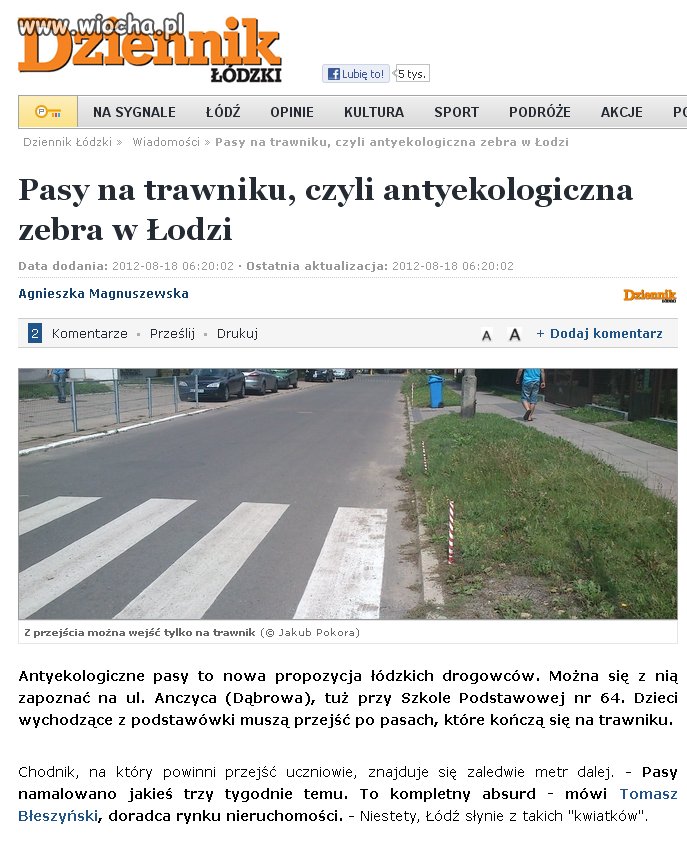 Pasy na trawniku