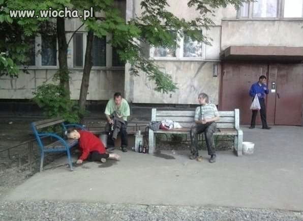 Jaki kraj
