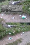 Zaśmiecanie terenów zielonych to wiocha