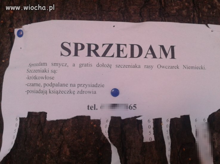 W dzisiejszych czasach