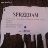 W dzisiejszych czasach