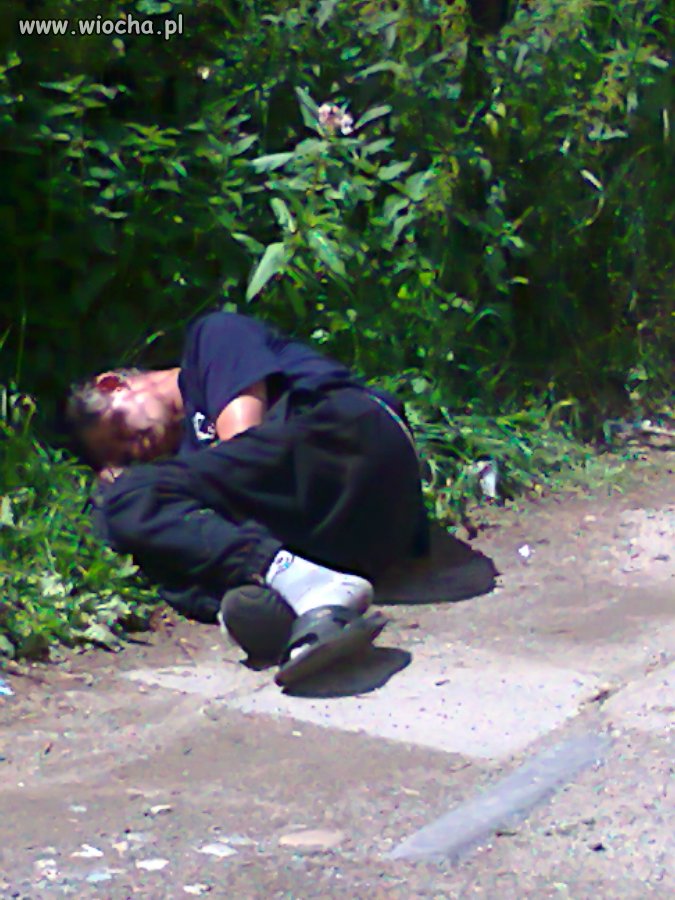 Wakacyjna przygoda