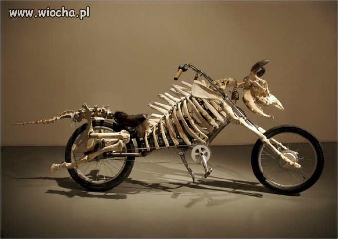 Motocykl