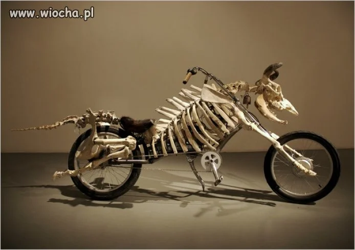 Motocykl