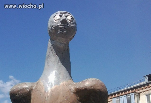 To chyba gołąb pocztowy