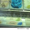 Nowe smaki lodów