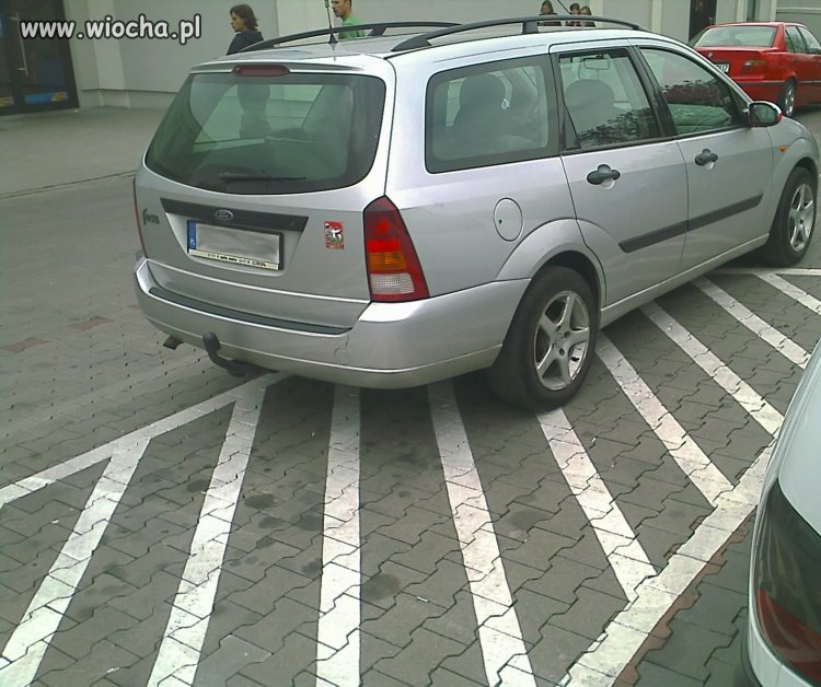 Głupich się nie sieje...oni są wśród nas