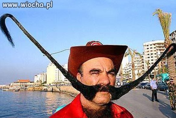 Wąsy w sam raz na wioche 