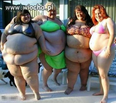 Piękne panie w bikini 