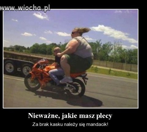 Fajne plecy