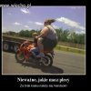 Fajne plecy