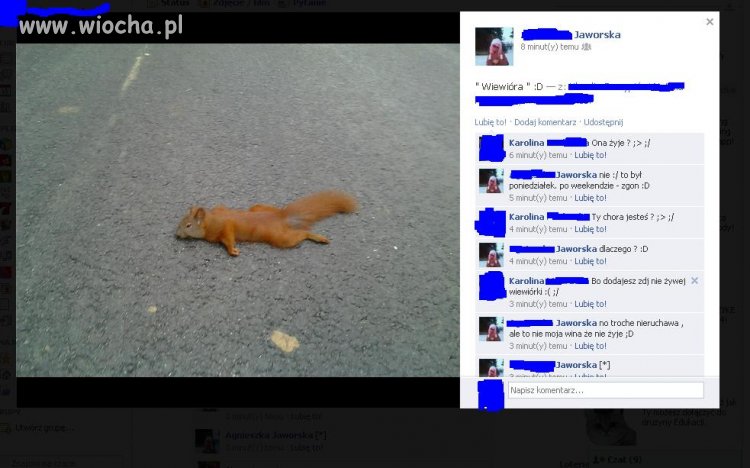 Idioci wszędzie...