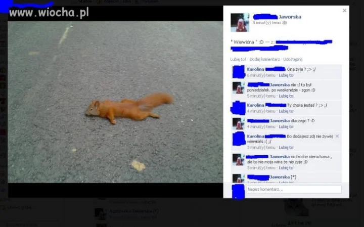 Idioci wszędzie...