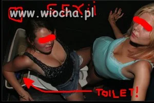 Takie tam w kibelku