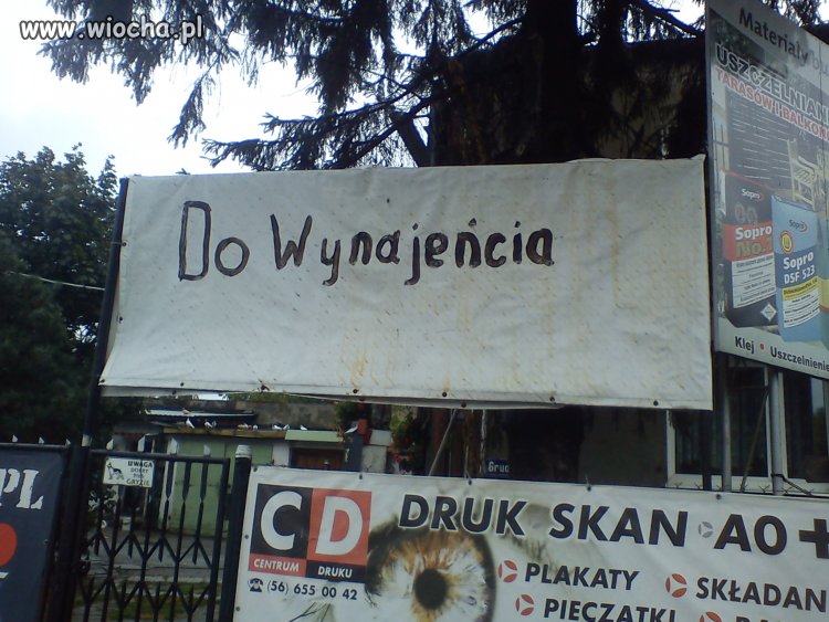 Brak szkoły... 