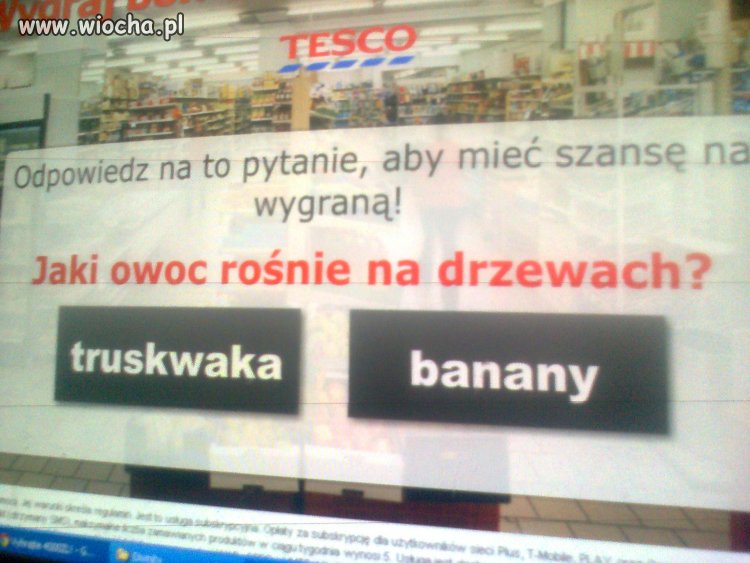 A co to jest "truskwaka"?