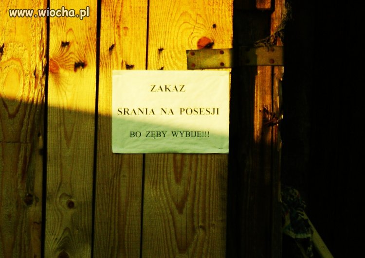 Skończyło się sranie po krzakach.