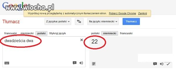 Niezawodny translator