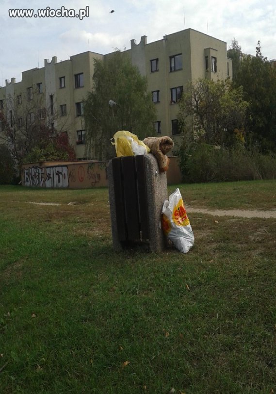 Wyrzucanie dywanów i innych wielkich śmieci..