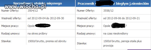 A rodzice mówili ucz się języków...