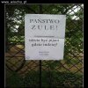 Nie ma to jak liczyć na sąsiadów 