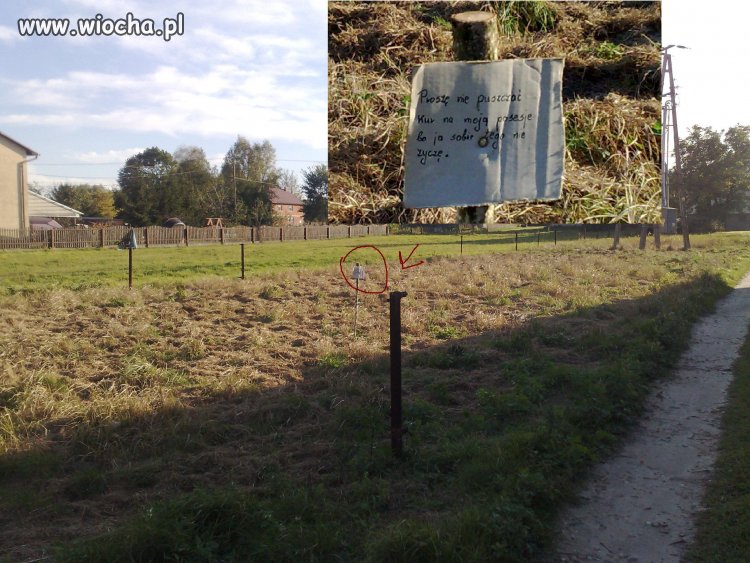 Wspaniała posesja sąsiada