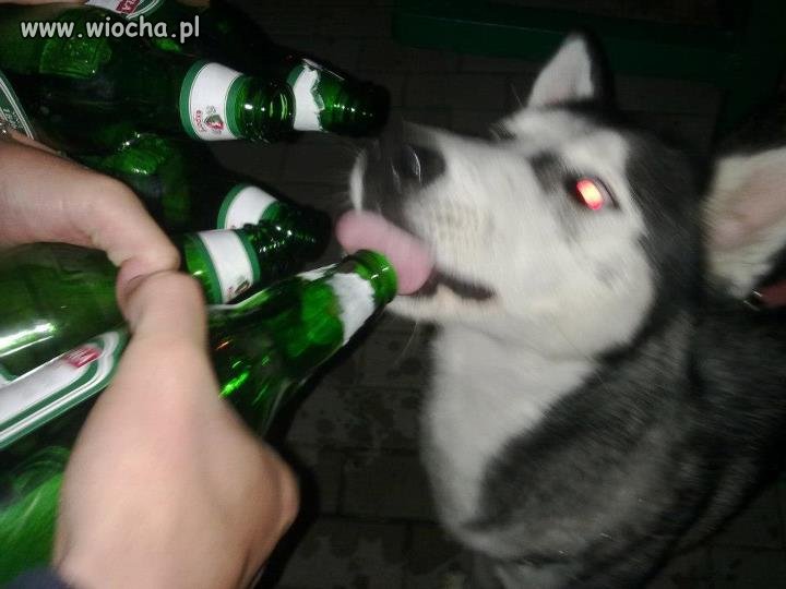 Brak mi słów na to!
