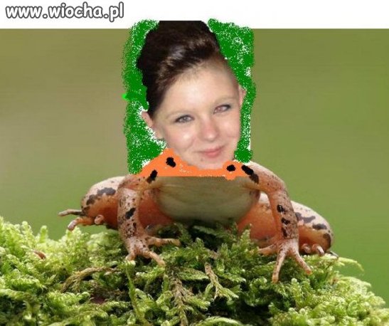 Jestem słodka żabcia...