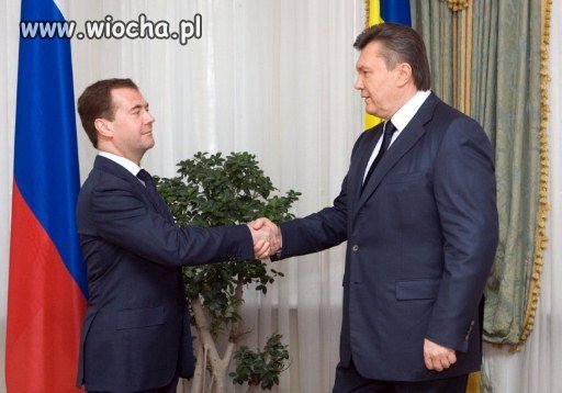 Co z tego, że jestem knypem